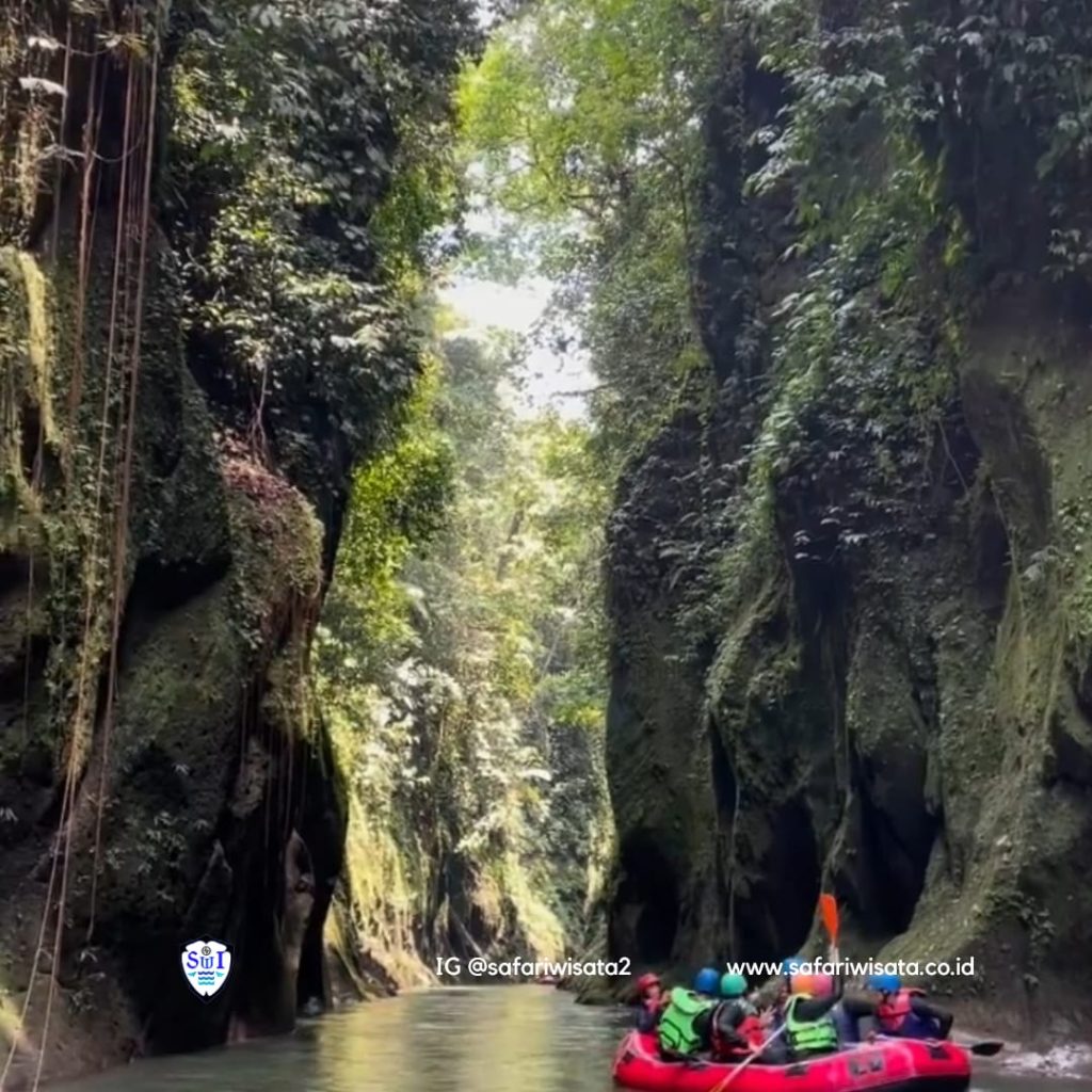 Aktiviti Menarik di Medan