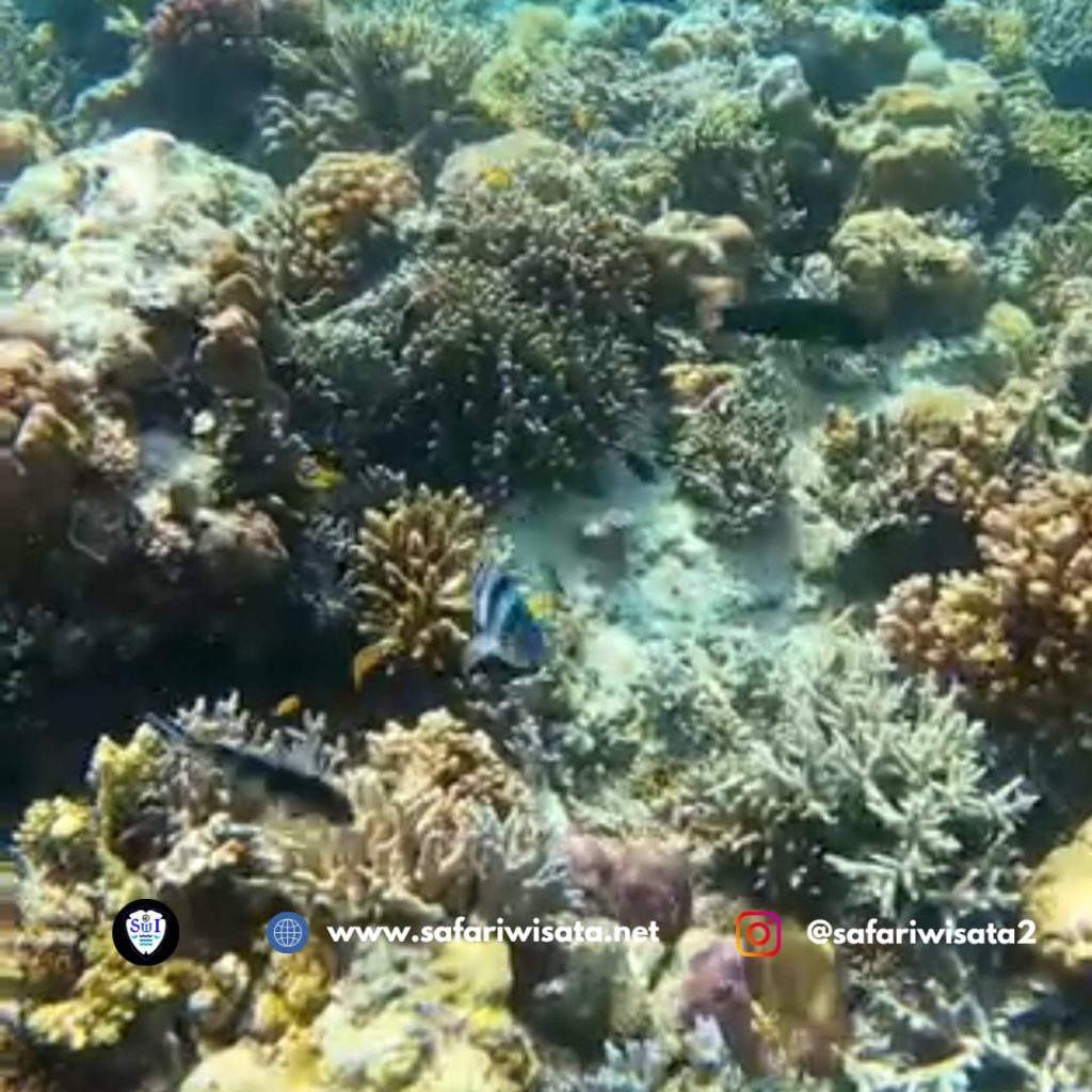 Pakej Melancong ke Pulau Mabul
