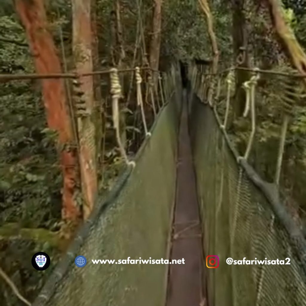 Pakej Pelancongan ke Sabah
