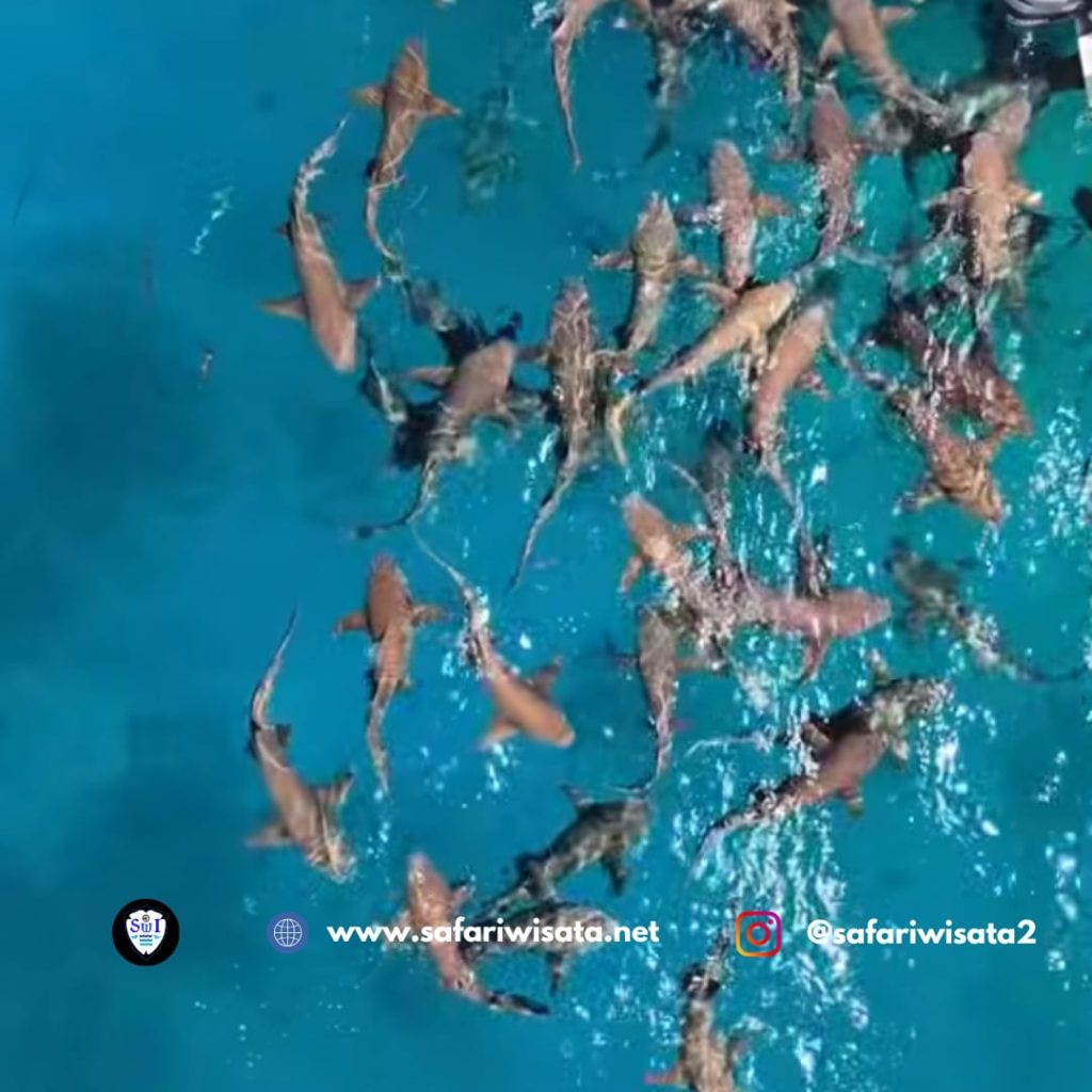 Pakej Percutian ke Maldives
