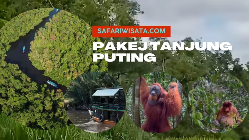 Pakej Tanjung Puting
