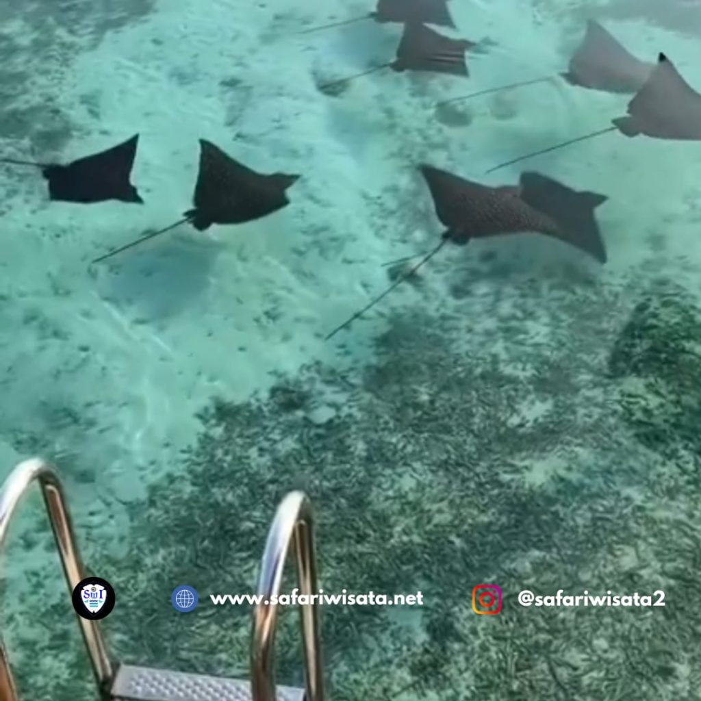 Trip ke Maldives